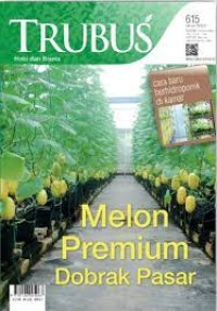 Image of Melon Premium Dobrak Pasar
