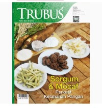 Image of Sorgum & Mocaf : Perkuat Ketahanan Pangan