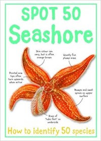 Image of Spot 50 Seashore