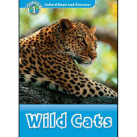 Image of Wild cats